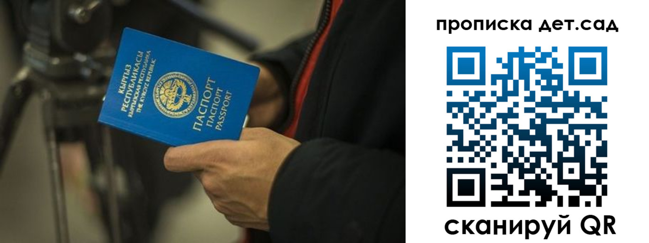 прописка поиск в Торопеце